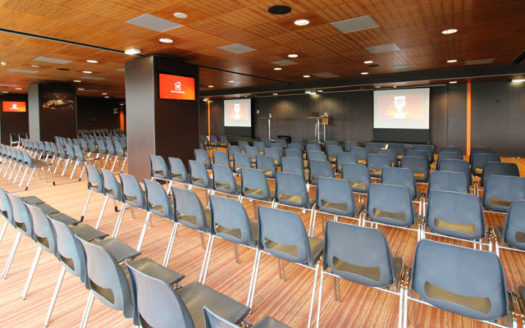 Stade Marie-Marvingt