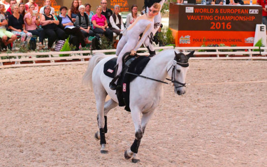 Pôle Européen du Cheval