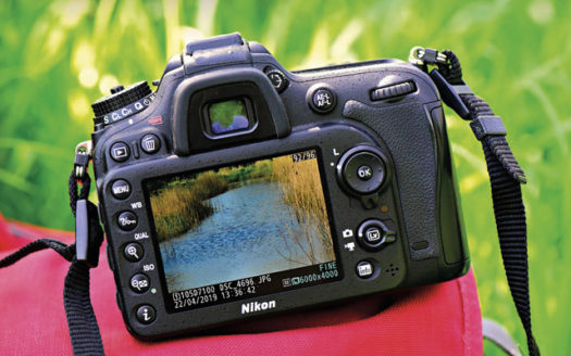 Pôle Européen du Cheval